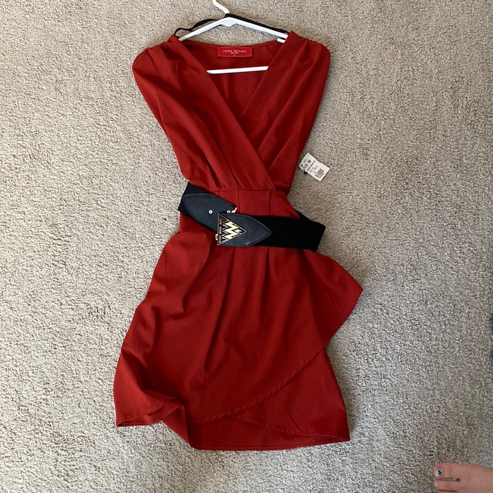 Akira dress with removable belt